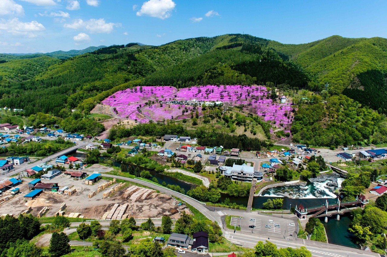 🌸 시바자쿠라 다키노우에 공원 이미지 1